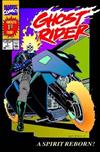 Ghost Rider: Vol. 1: Danny Ketch Classic