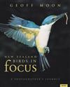 New Zealand Birds in Focus: A Photographer's Journey