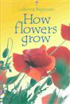 How Flowers Grow