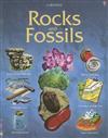 Rocks and Fossils