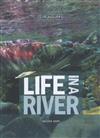 Life in a River