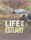 Life in an Estuary