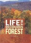 Life in a Deciduous Forest