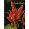 Hawaii Garden: Tropical Shrubs