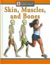 Skin, Muscles, and Bones