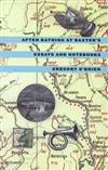 After Bathing at Baxter's: Essay's and Notebooks