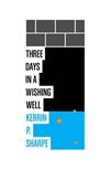 Three Days in a Wishing Well