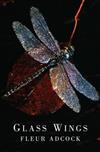 Glass Wings