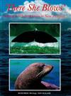 There She Blows: Sealing and Whaling Days in New Zealand