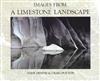 Images from a Limestone Landscape: Journey into the Punakaiki-Paparoa Region
