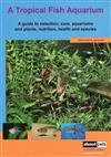 A Tropical Fish Aquarium
