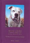 Wine Dogs: The Dogs of North American Wineries