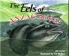 The Eels of Anzac Bridge