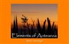 Elements of Aotearoa