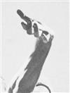 Sriwhana Spong: Nijinsky