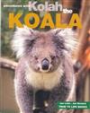 Adventures with Kolah the Koala