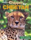 Adventures with Chipper the Cheetah
