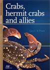Crabs, Hermit Crabs and Allies