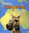 Watching Kangaroos in Australia