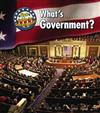 What's Government?
