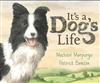 It's a Dog's Life