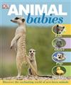 Animal Babies
