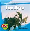 Ice Age