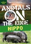 Hippo