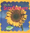Life as a Sunflower