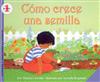 Como Crece Una Semilla