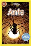 Ants