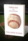 Calico Joe