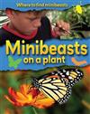 Minibeasts on a Plant