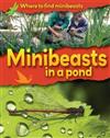 Minibeasts in a Pond