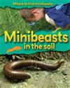 Minibeasts In the Soil