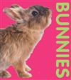 Bunnies - Photographic Shaped Board Book