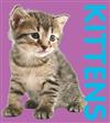 Photographic Shaped Board Book: Kittens