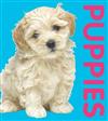 Puppies - Photographic Shaped Board Book