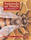 Animals at Work: How Animals Build, Dig, Fish and Trap