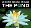 Looking Closely Around the Pond