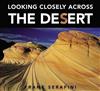 Looking Closely Across the Desert