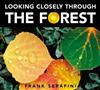 Looking Closely Through the Forest