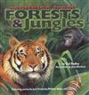 Forests and Jungles