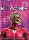 Bodyworks
