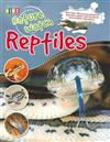 Reptiles
