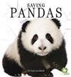 Saving Pandas