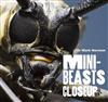 Minibeasts