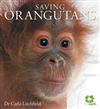 Saving Orangutans