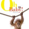Oh Baby!: The A to Z