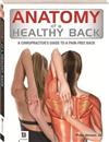 Anatomy of Healthy Back